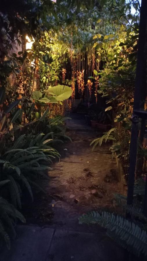 Casa Quetzalli, La Recoleccion Antigua Luaran gambar